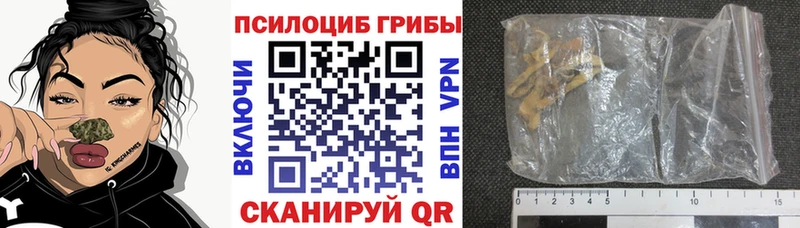 купить наркотик  Белозерск  Галлюциногенные грибы Cubensis 